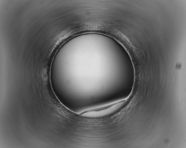 X0000098121218200804181511
