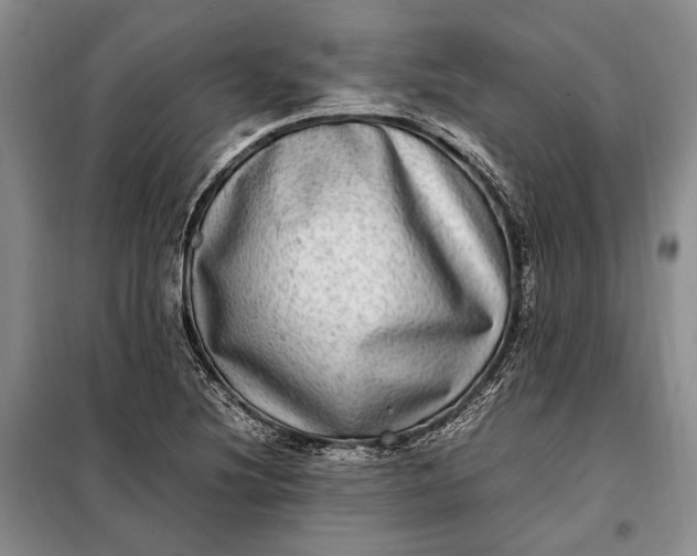 X0000098121220200804181511