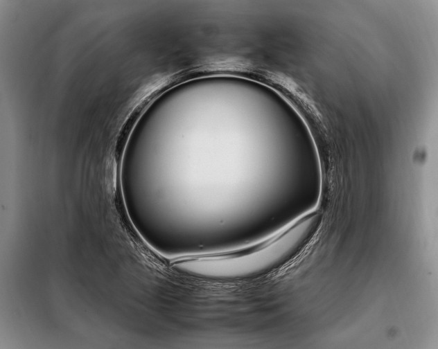 X0000098121221200804181511