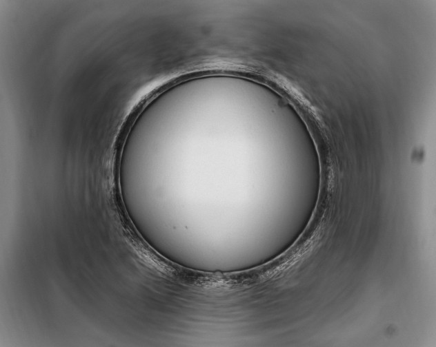 X0000098121222200804181511