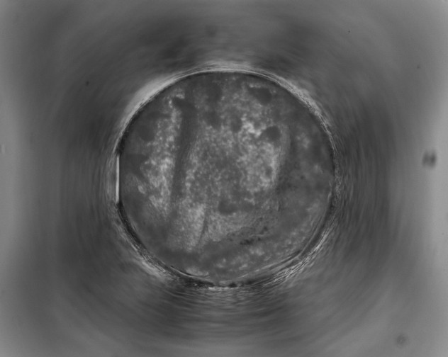 X0000098121223200804181511