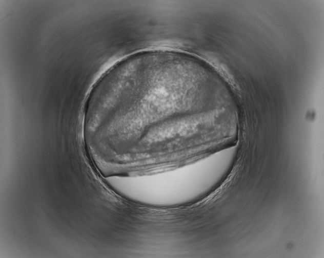 X0000098121224200804181511