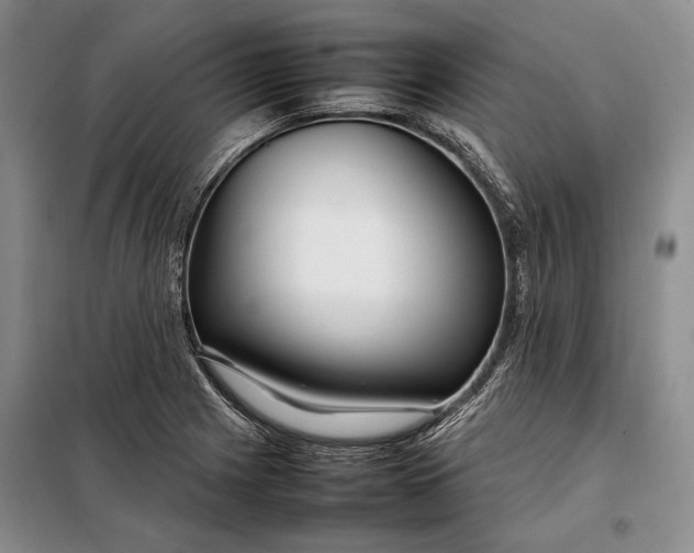 X0000098121225200804181511