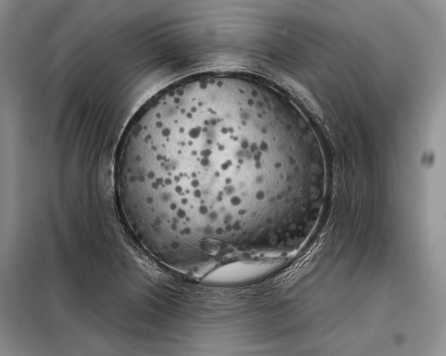 X0000098121226200804181511