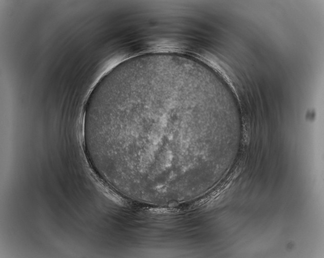 X0000098121227200804181511
