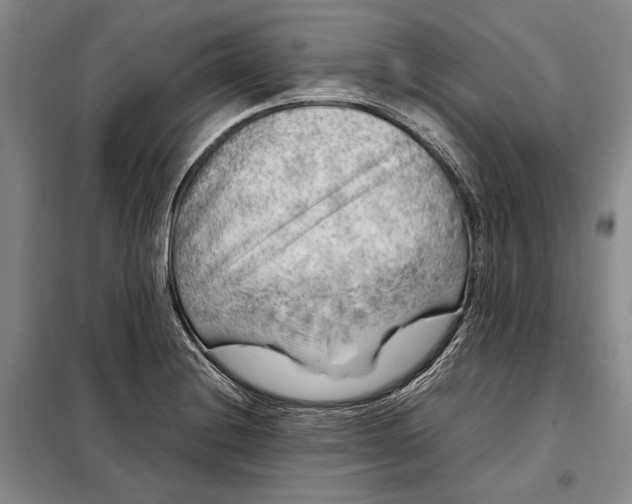 X0000098121228200804181511