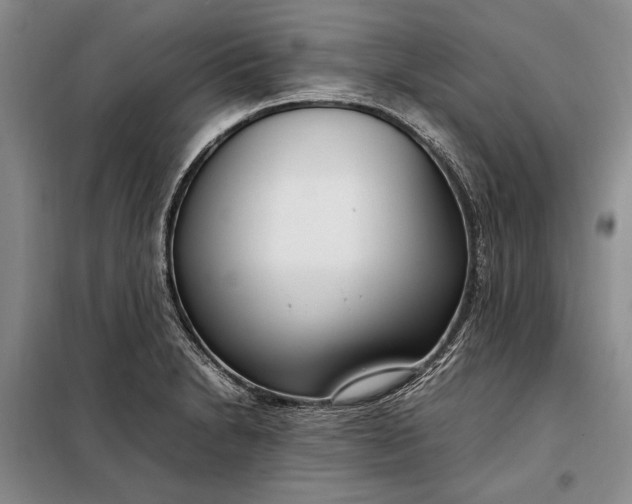 X0000098121230200804181511