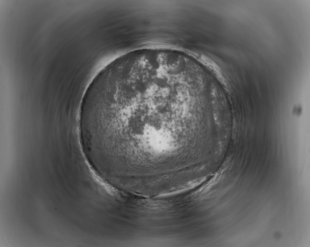 X0000098121231200804181511