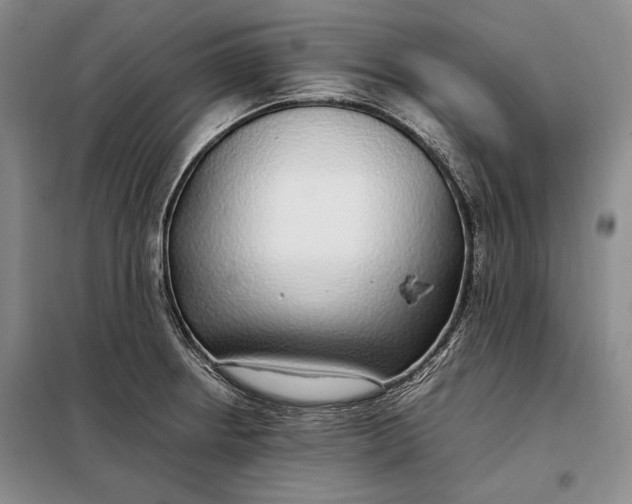 X0000098121234200804181511