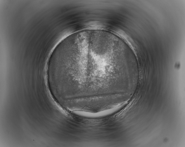 X0000098121235200804181511