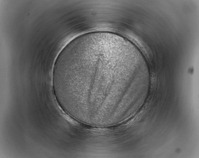 X0000098121236200804181511