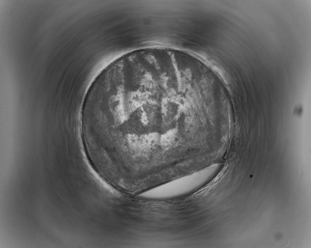 X0000098121239200804181511