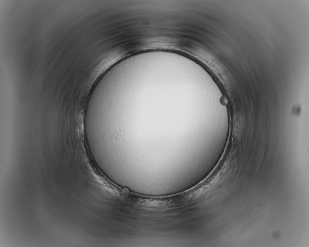 X0000098121241200804181511