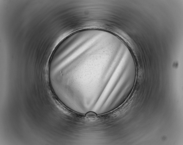 X0000098121242200804181511