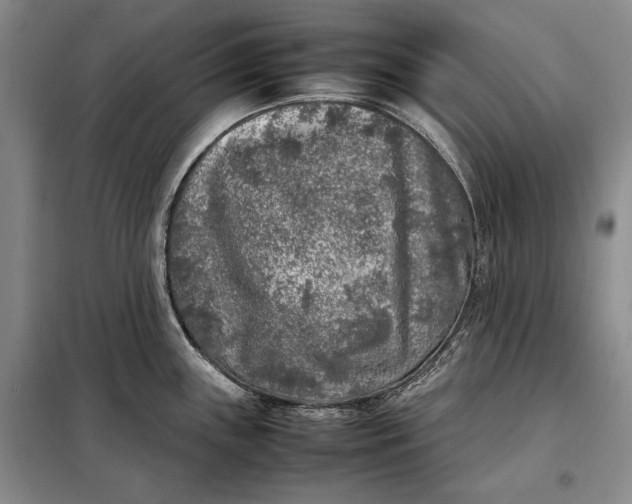 X0000098121243200804181511