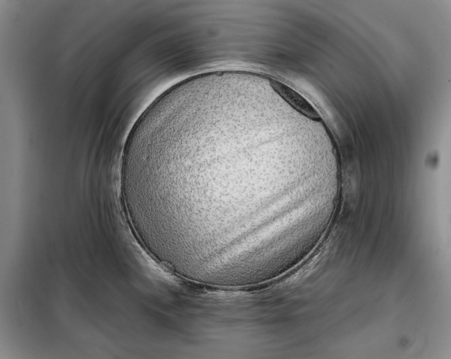 X0000098121244200804181511
