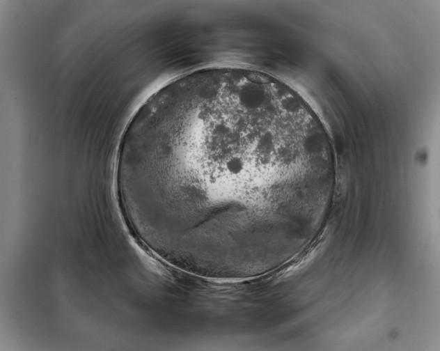 X0000098121245200804181511