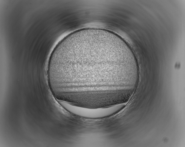 X0000098121248200804181511