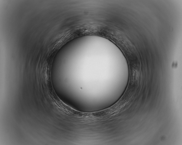 X0000098121250200804181510
