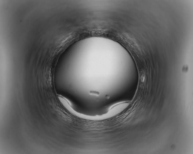 X0000098121252200804181510