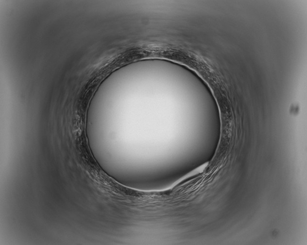 X0000098121253200804181510