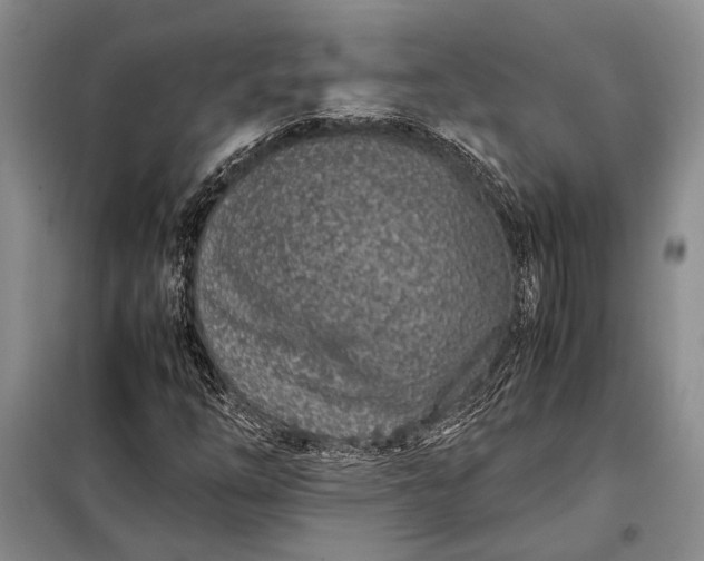 X0000098121254200804181510