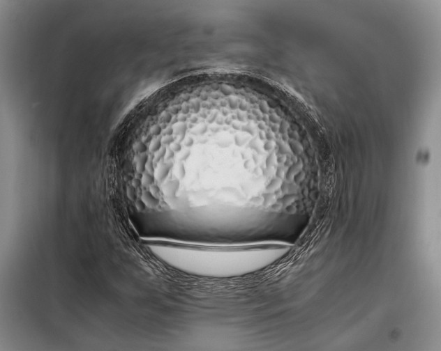 X0000098121255200804181510