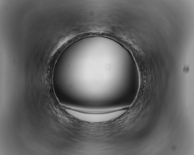 X0000098121256200804181510