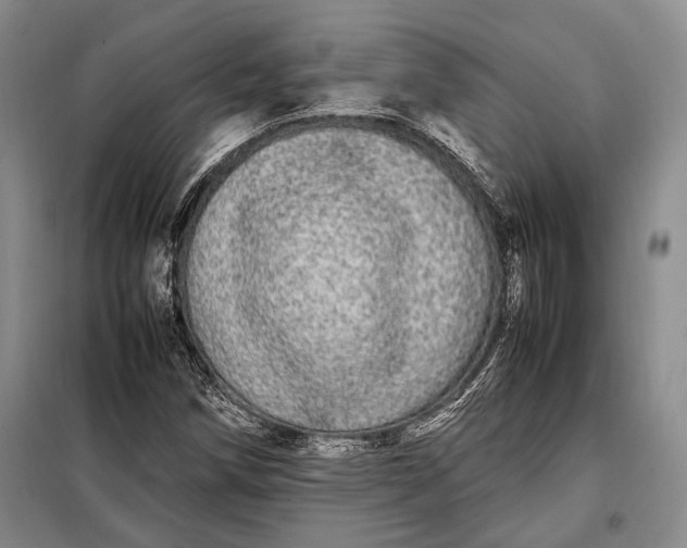 X0000098121258200804181510
