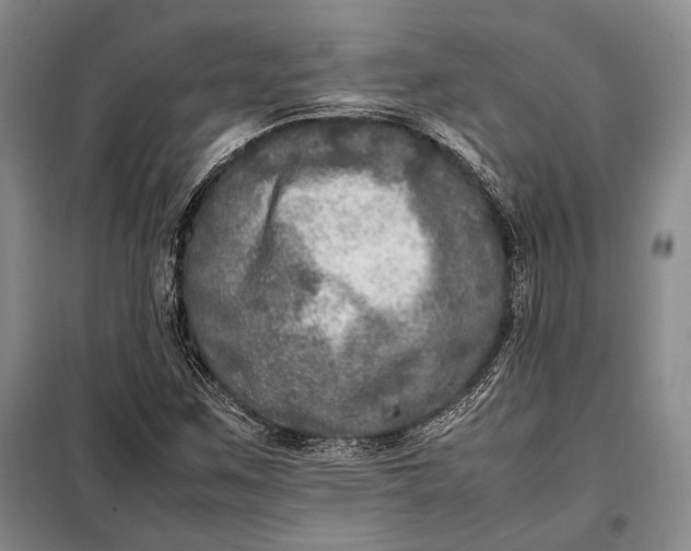 X0000098121259200804181510