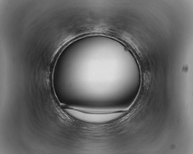 X0000098121260200804181510
