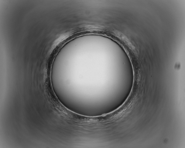 X0000098121261200804181510