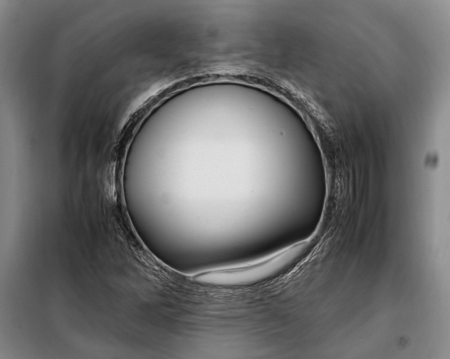 X0000098121262200804181510
