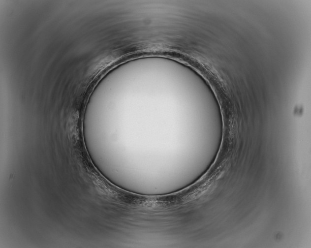 X0000098121265200804181510