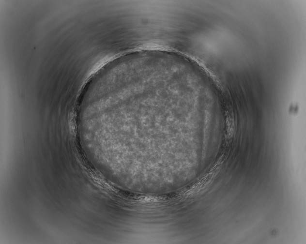 X0000098121266200804181510