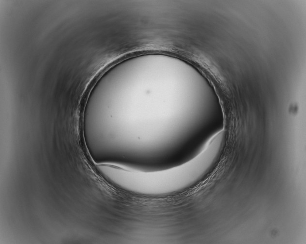 X0000098121268200804181510