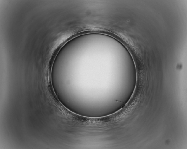 X0000098121269200804181510