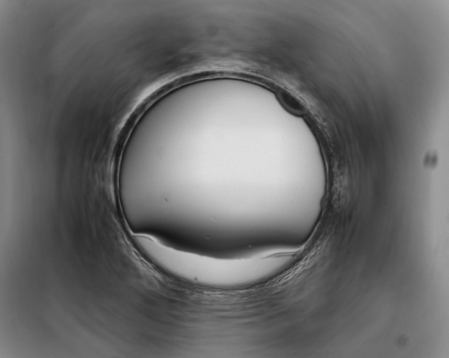 X0000098121272200804181510
