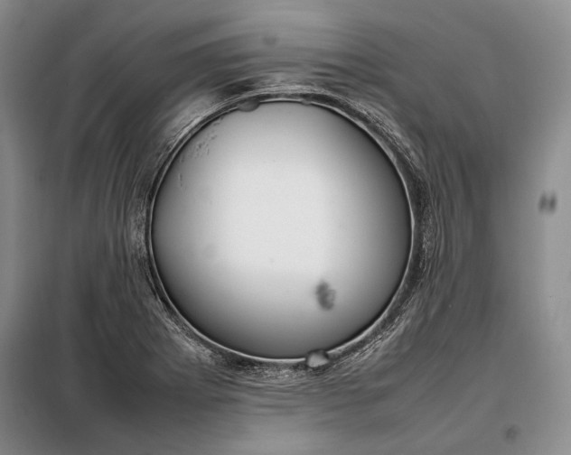 X0000098121273200804181510