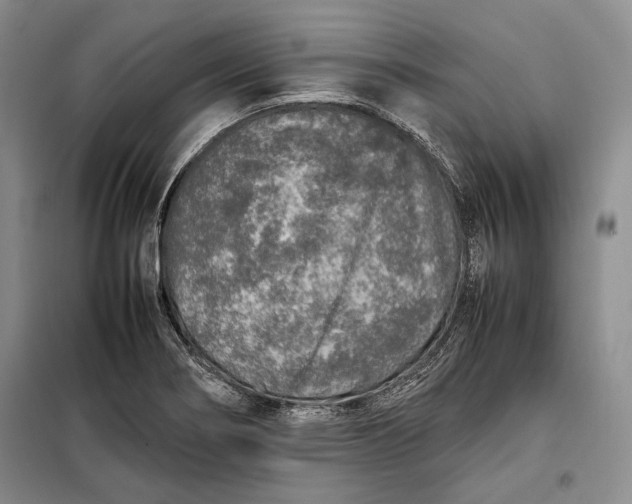 X0000098121274200804181510