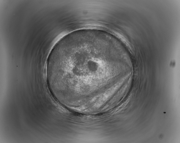 X0000098121275200804181510