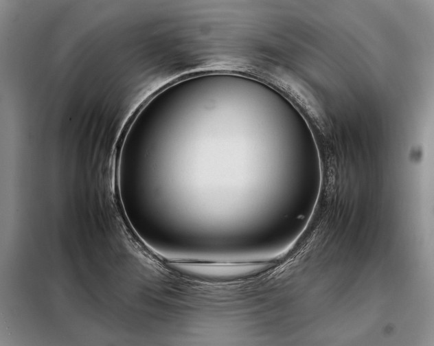 X0000098121276200804181510
