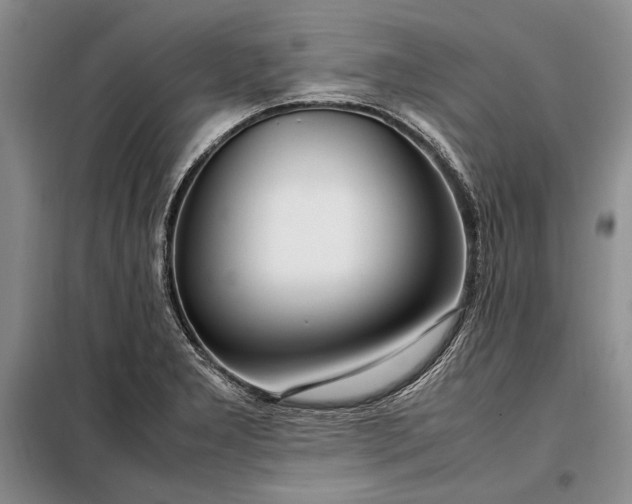 X0000098121277200804181510