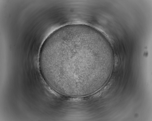 X0000098121278200804181510