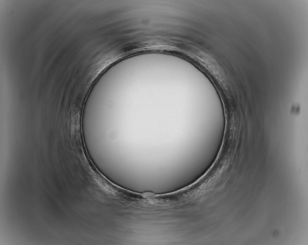 X0000098121281200804181510