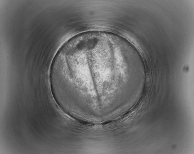 X0000098121283200804181510
