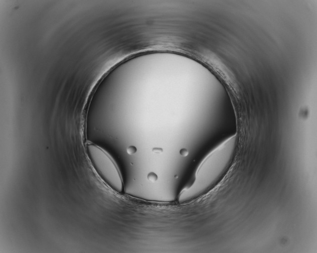X0000098121284200804181510