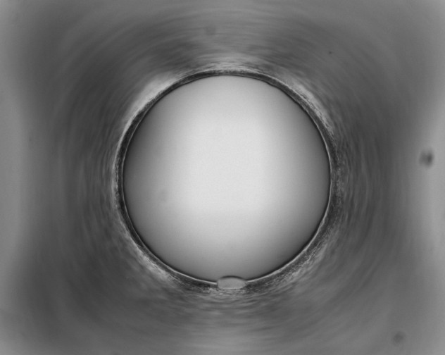 X0000098121285200804181510