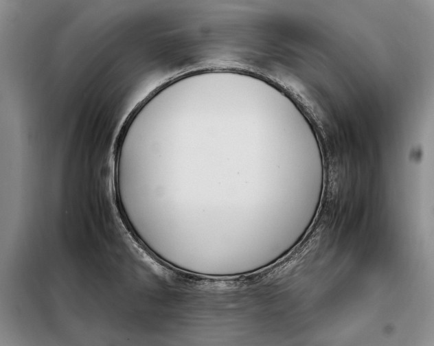 X0000098121286200804181510