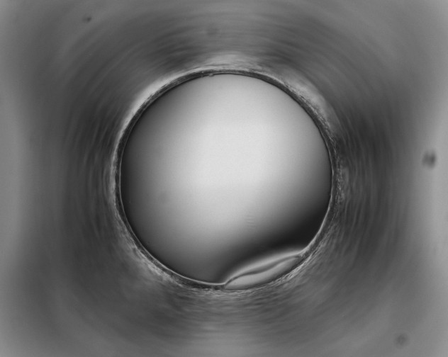 X0000098121288200804181510